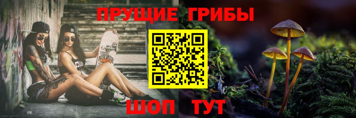 Псилоцибиновые грибы Psilocybe  Вход с VPN  Артёмовский  Галлюциногенные грибы Psilocybine cubensis 